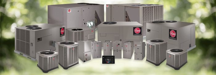 Dolor Sit Amet Consectetur Adipiscing Elit