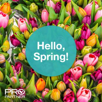 Hello Spring! 🌷🌸☀️